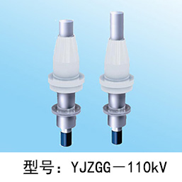 110kV GIS终端